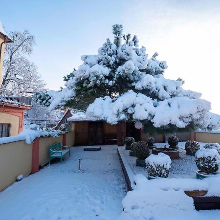 Hotel Kollektur Zellertal ภายนอก รูปภาพ
