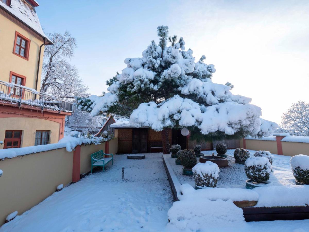 Hotel Kollektur Zellertal ภายนอก รูปภาพ